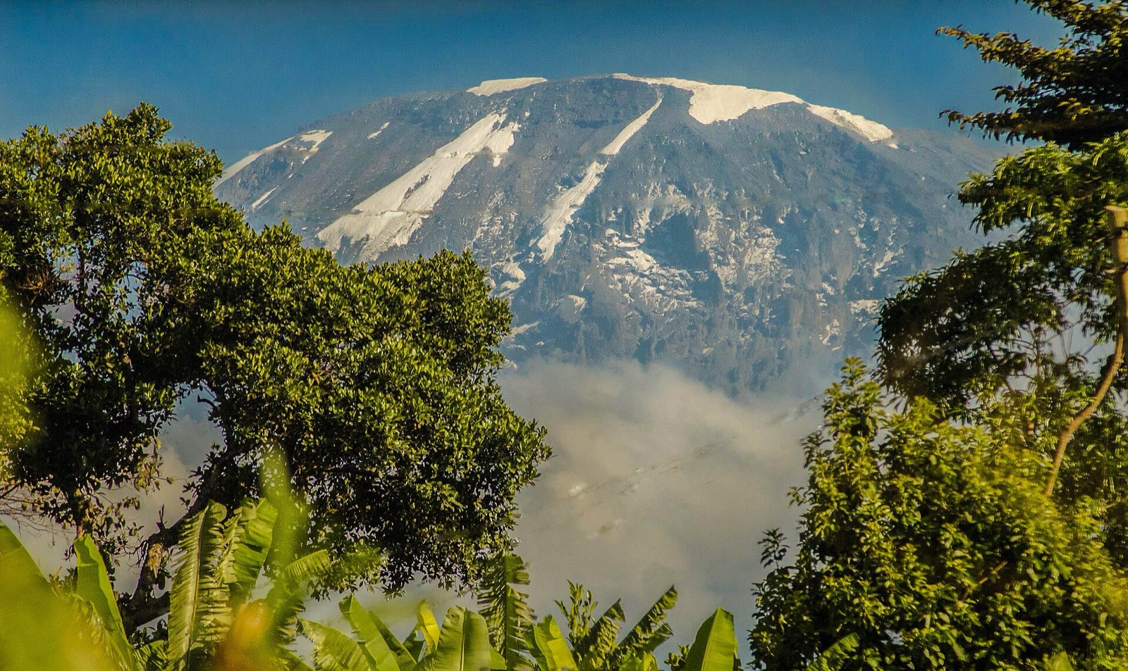 Climb Kilimanjaro