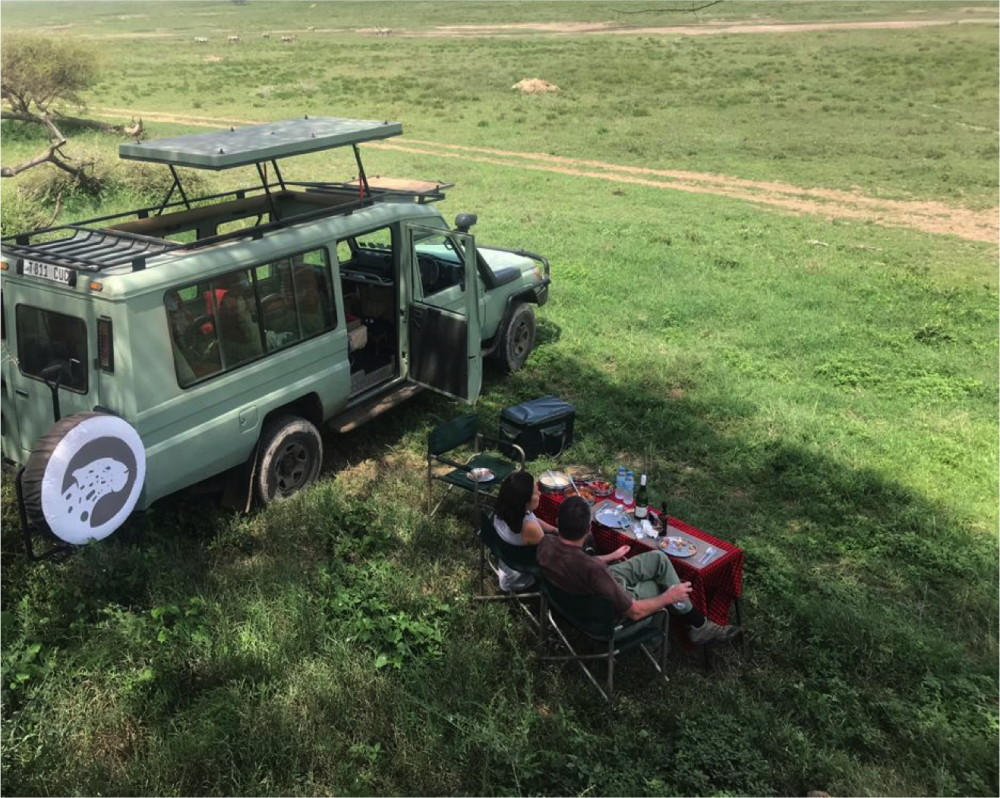 The perfect Safari Honeymoon