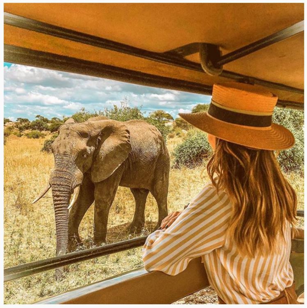 A Safari with Alexandra Pereira