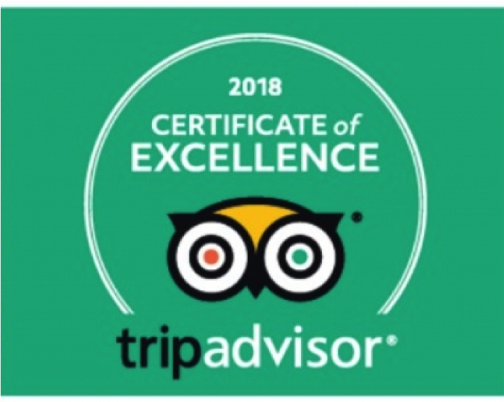 Certificate Of Excellence