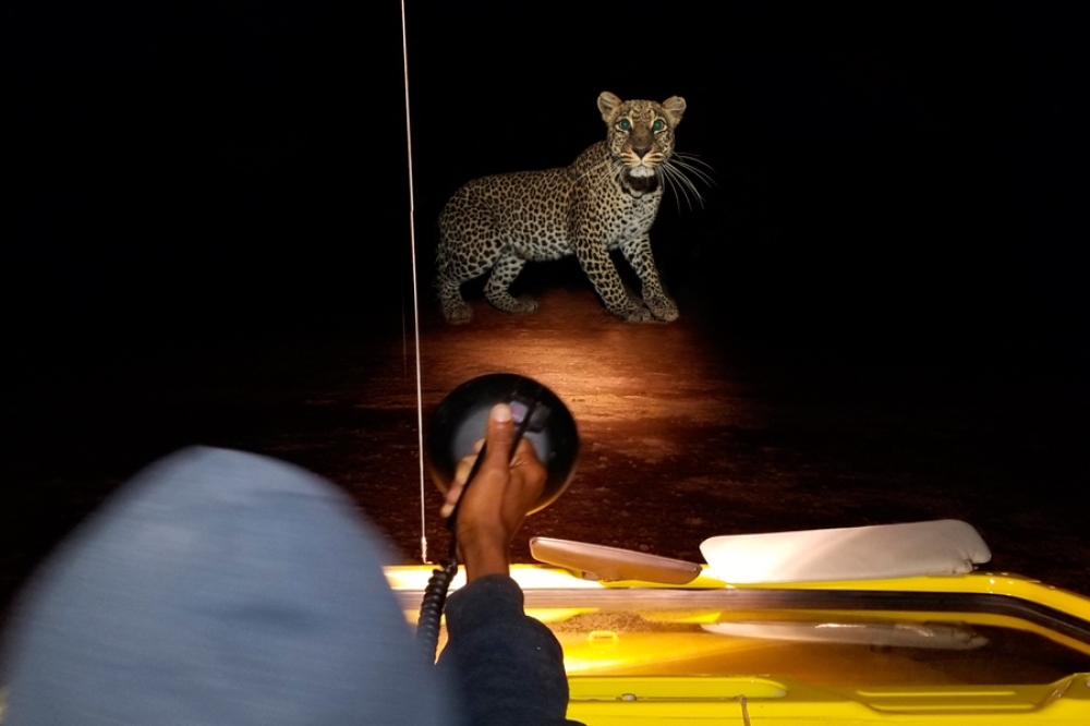 5 Extra Activities to take during Safari