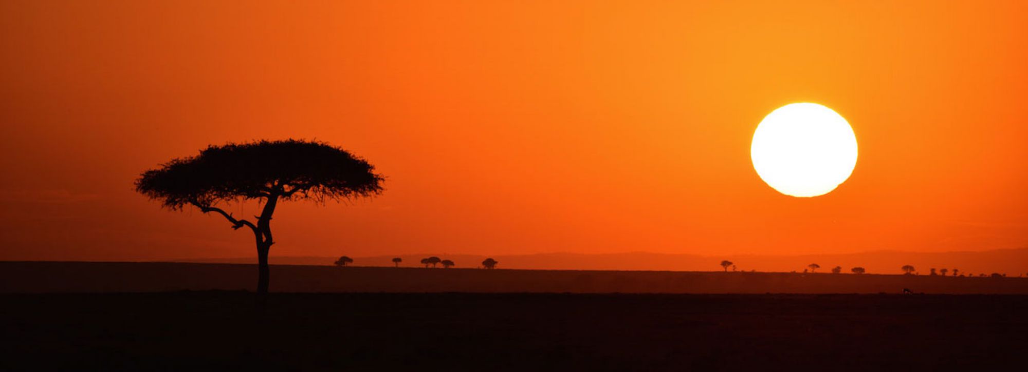 Soul of Tanzania — gallery 01