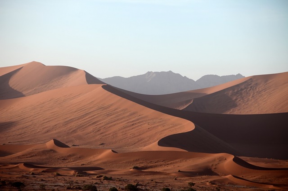 Namibia Safari Fotográfico Standart — lâmina 01