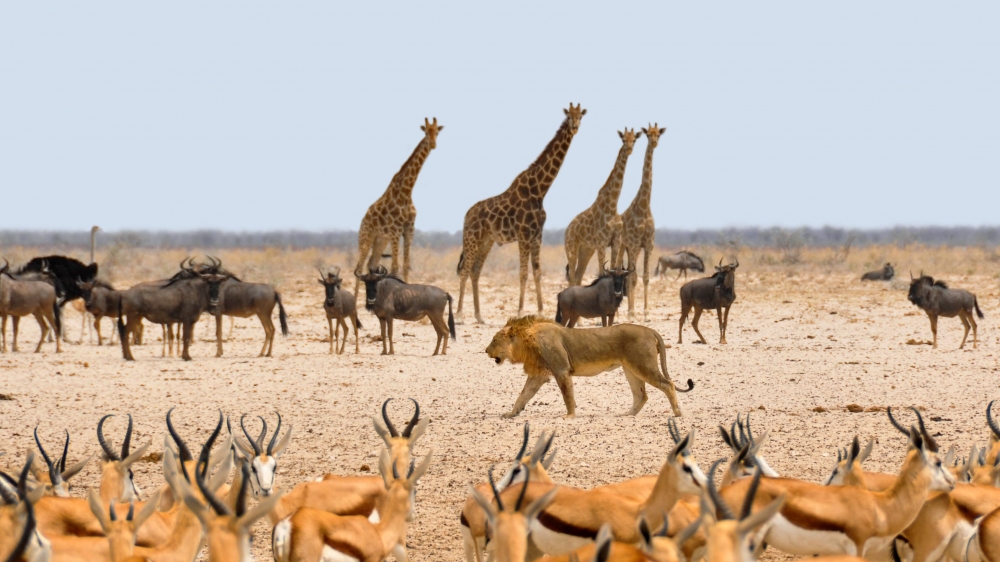 Route map — Highlights of Kenya and Tanzania