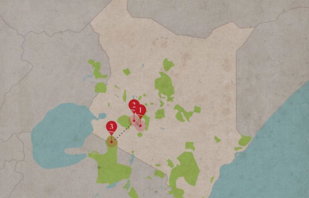 Awesome Kenya — plate 01