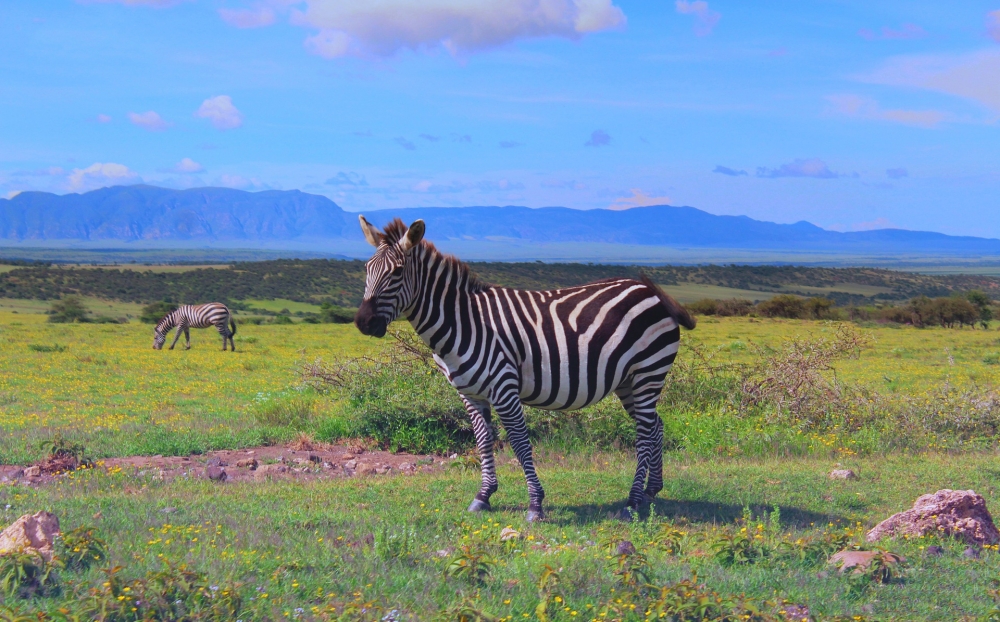 Route map — The Jewels of Tanzania