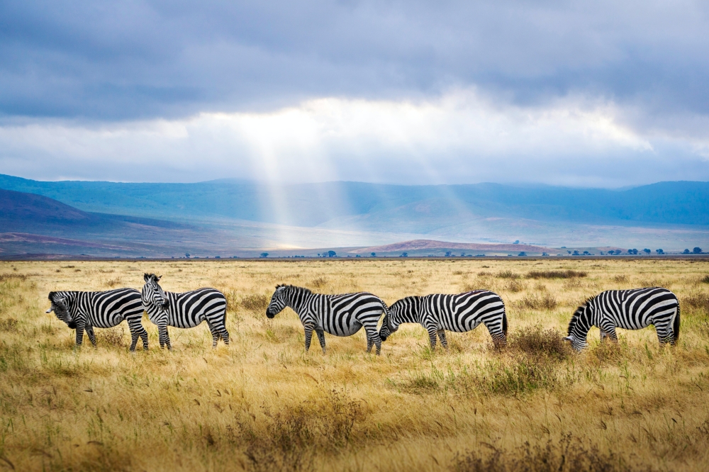 Route map — 7-Day Safari (Including Serengeti) & Zanzibar Extension