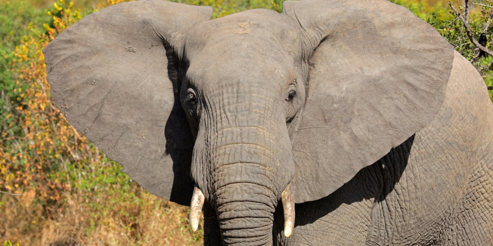 Route map — Cape Town & Kruger National Park Safari (Standard)