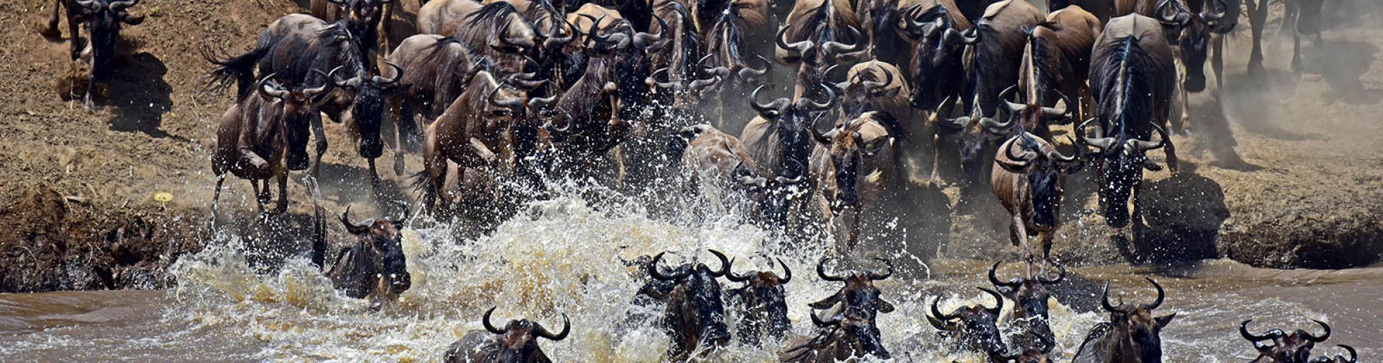 Arusha, where every journey begins
